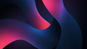 Custom Web Application Development: Everything You Need to Know